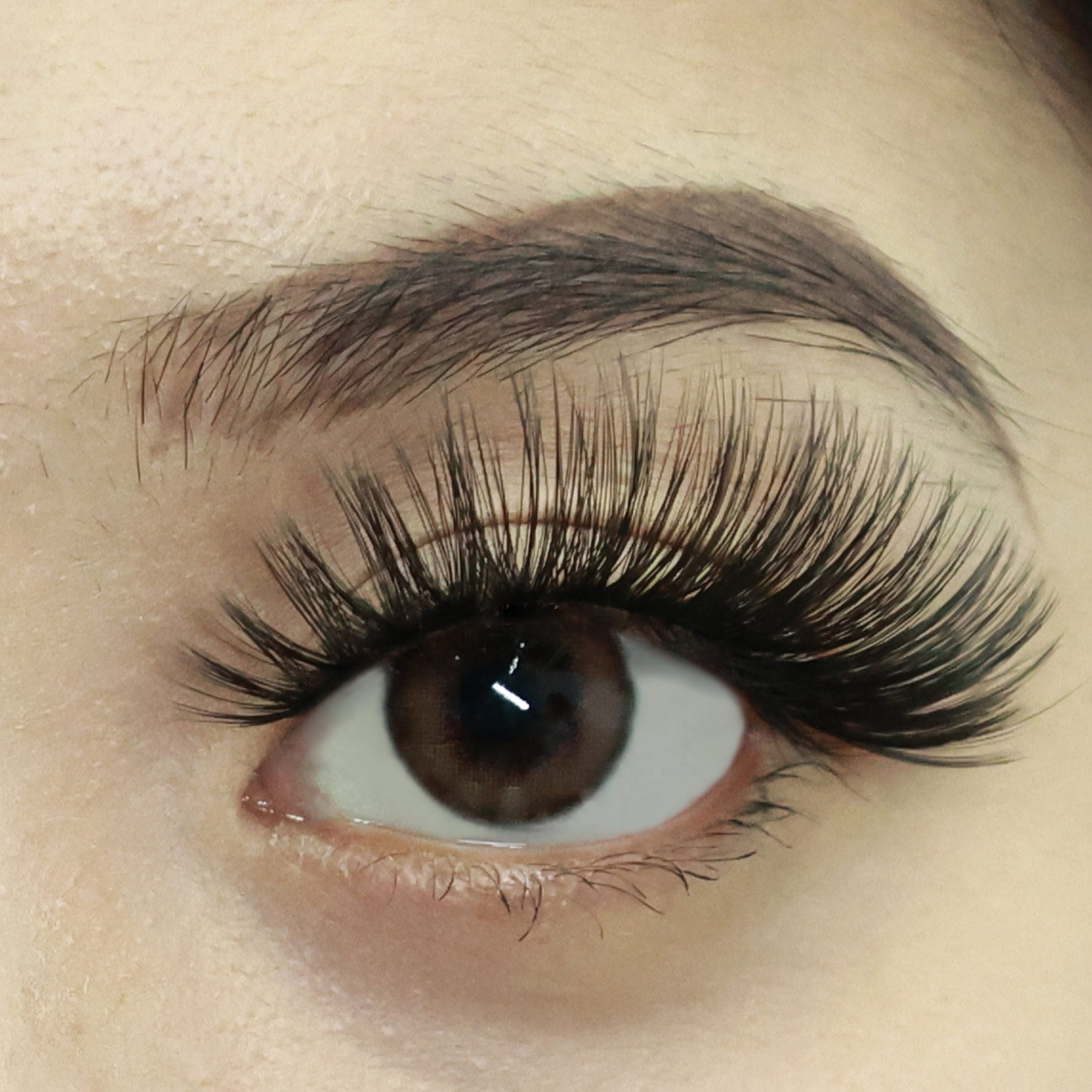 Cílios Postiços Naturais Linha Gatinha GE03 Efeitos 3D- Dolfinha - Dolfinha